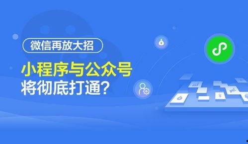 小程序最新全面爆料平台,功能升级、玩法革新，带你领略科技魅力